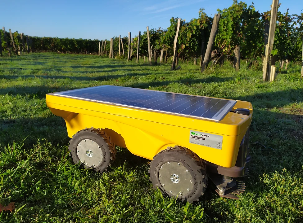 ROBOT DE TONTE​ autonome